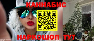 гашик Аргун