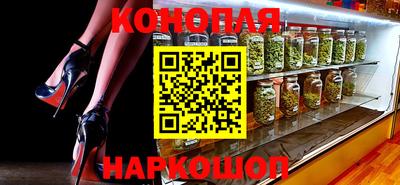 гашик Аргун