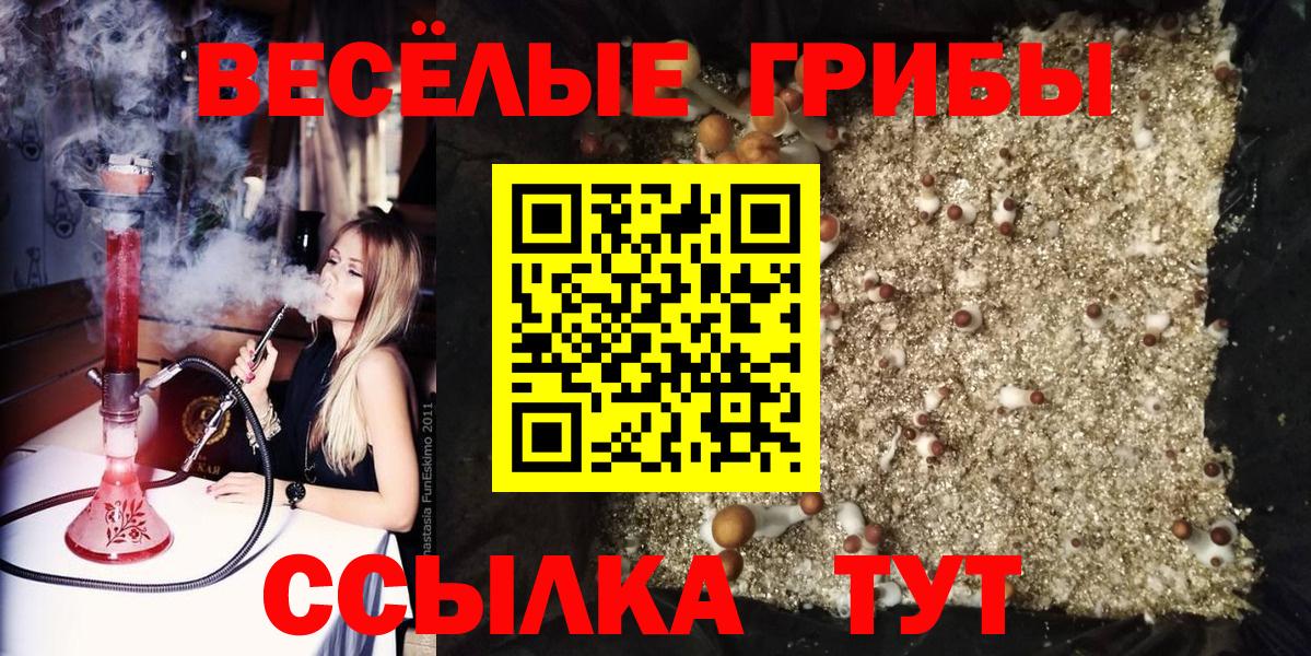 Псилоцибиновые грибы MAGIC MUSHROOMS  Вход с VPN  Балашиха 